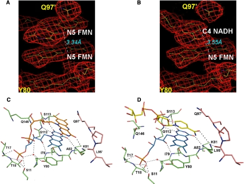 FIGURE 4.