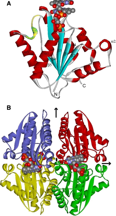 FIGURE 2.