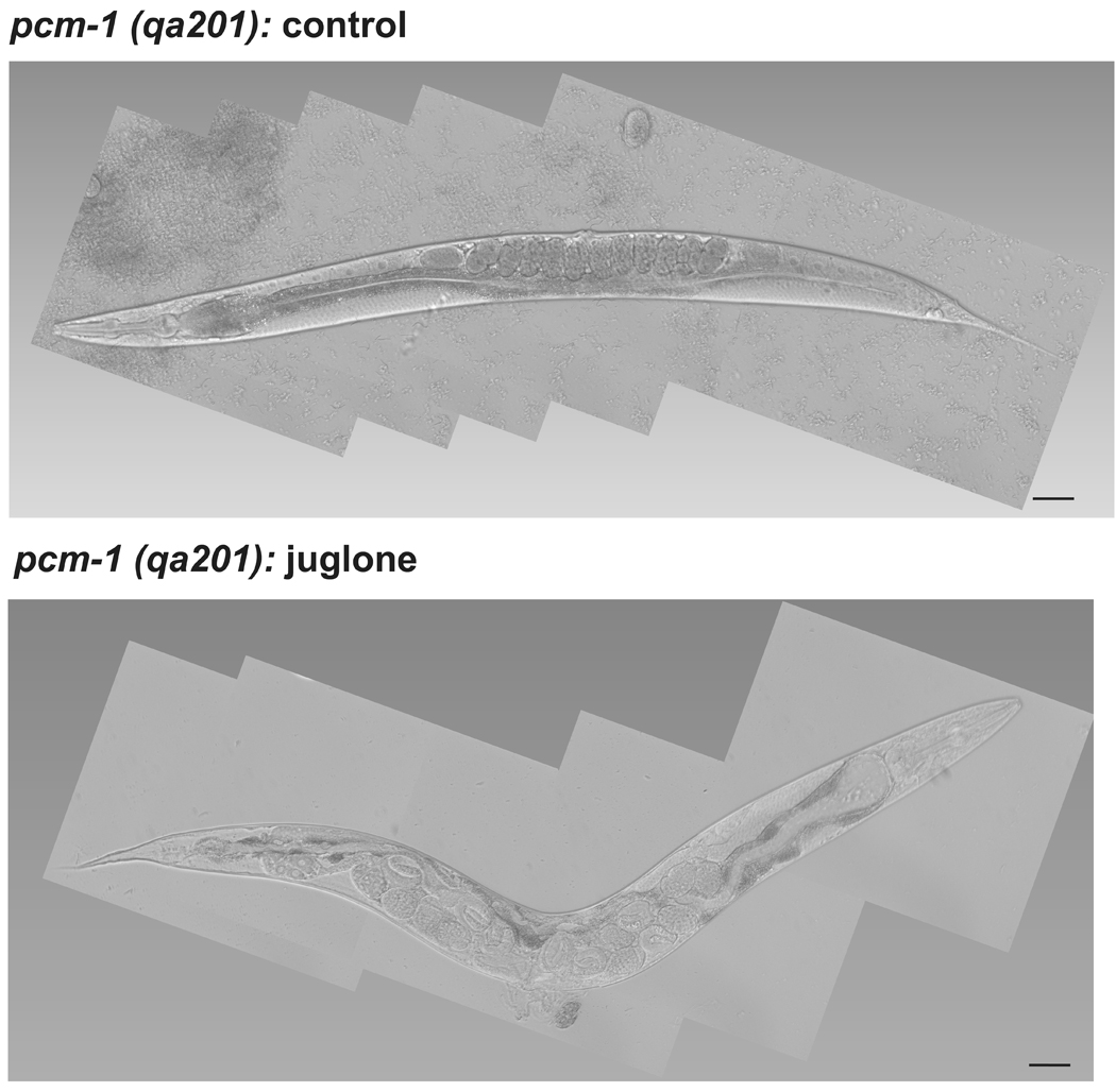 Fig. 2