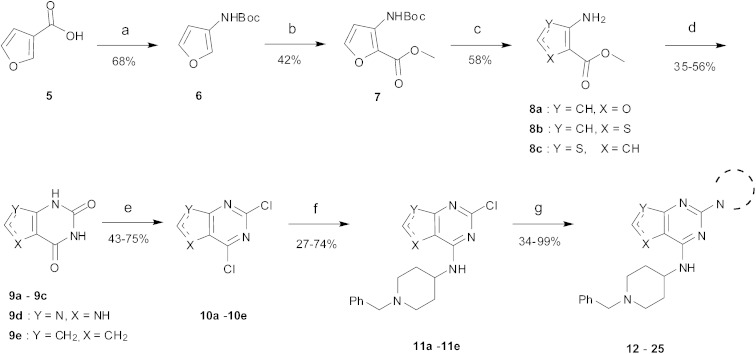 Scheme 1