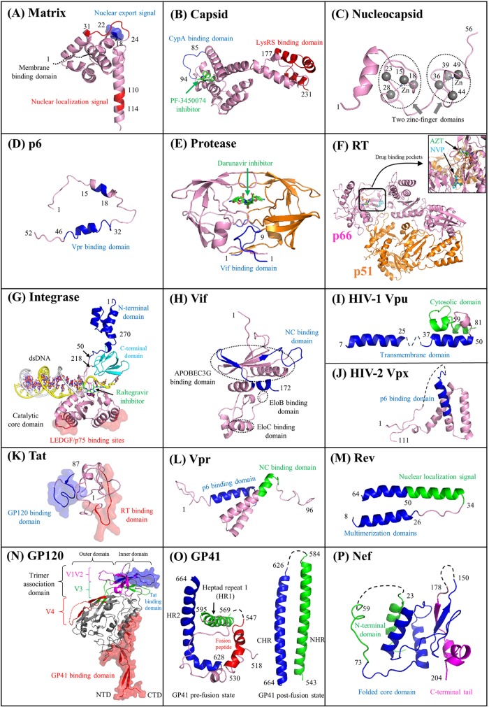 FIG 2