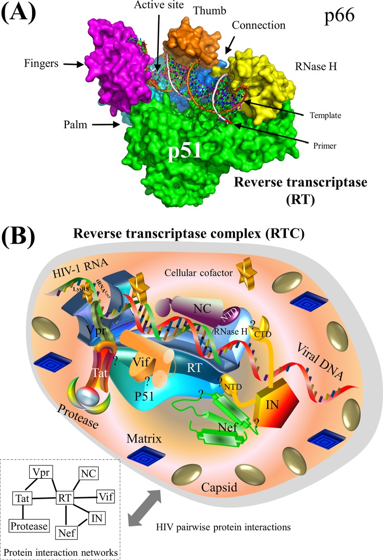 FIG 6