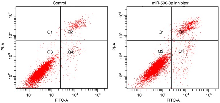 Figure 5.