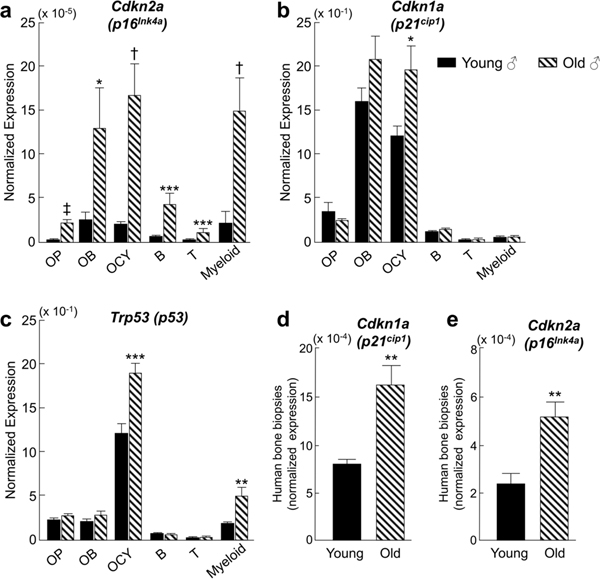 Figure 1: