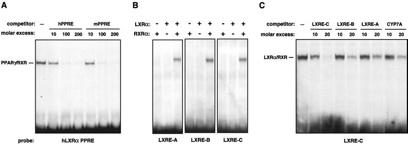 FIG. 8