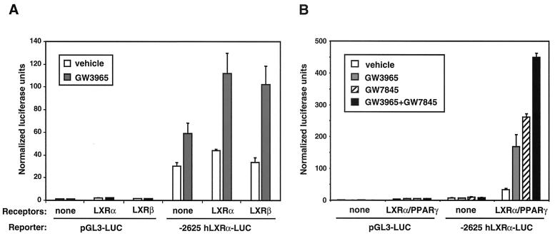 FIG. 9