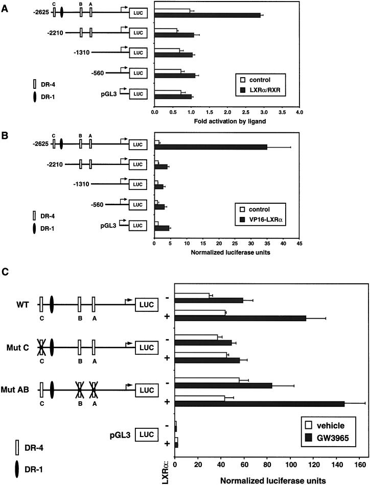 FIG. 10