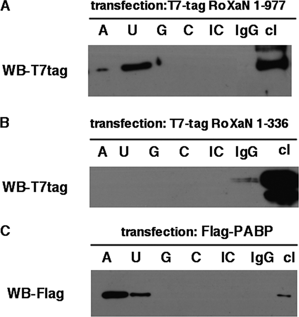 FIG. 8.