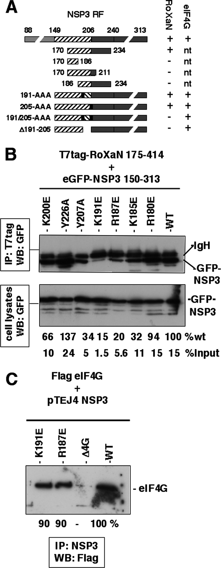 FIG. 5.