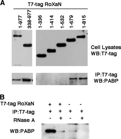 FIG. 7.