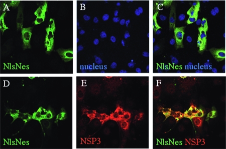 FIG. 4.