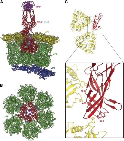 Figure 6