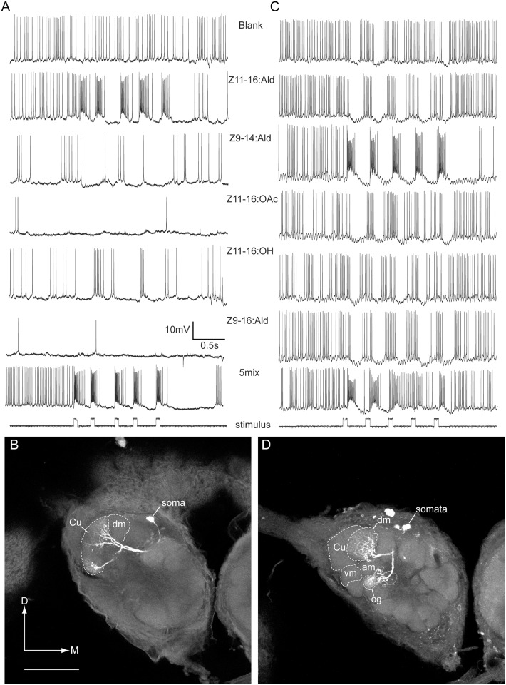 Fig 4