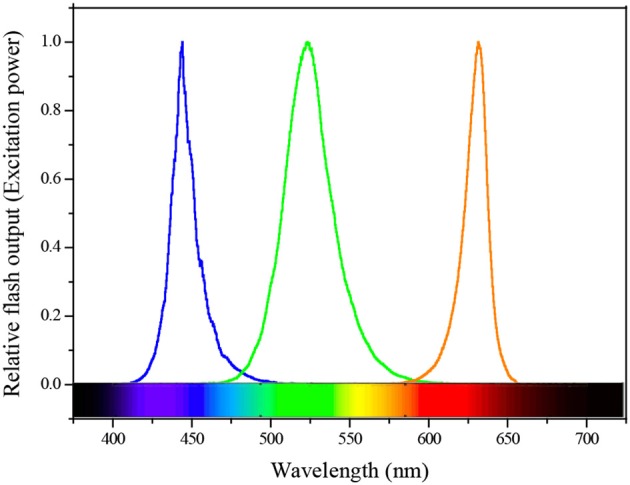 Figure 2