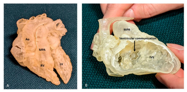 Figure 10