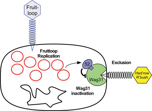 FIGURE 14