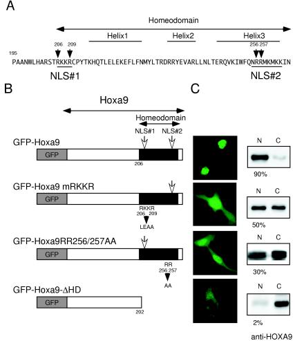 FIG. 11.