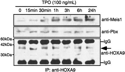 FIG. 8.