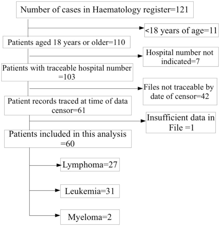 FIGURE 1