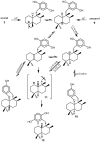 Scheme 3