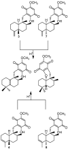 Scheme 1