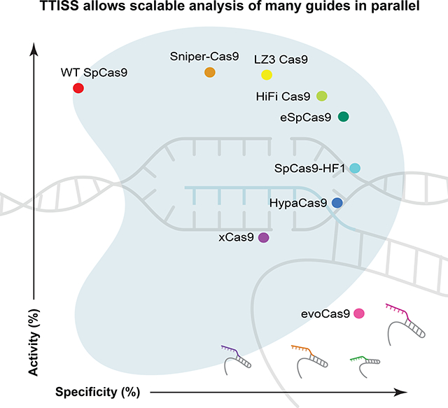 graphic file with name nihms-1577774-f0001.jpg