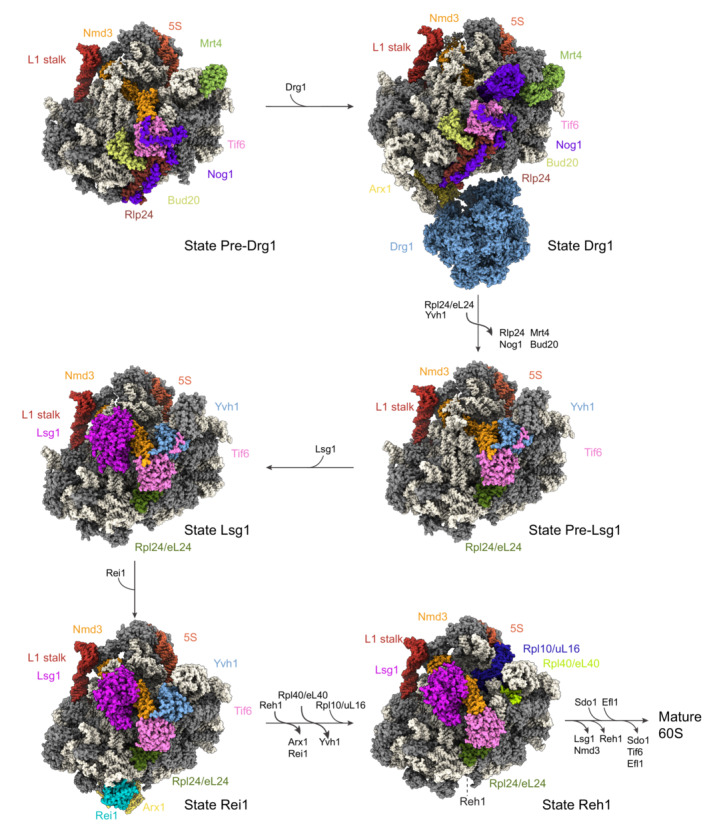 Figure 7