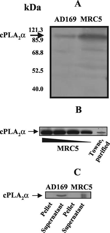 FIG. 6.