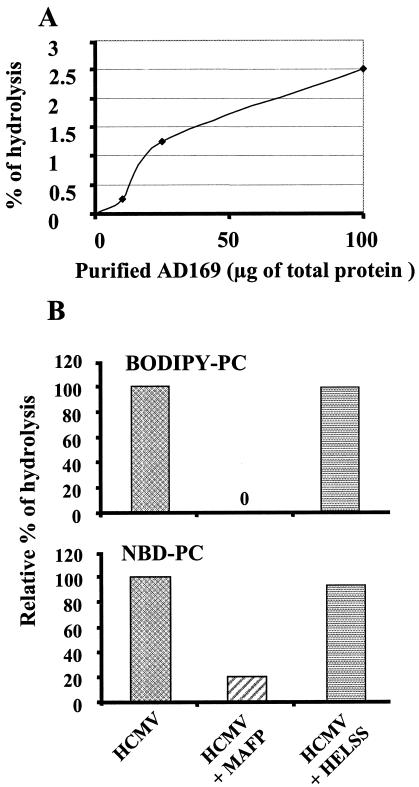 FIG. 5.