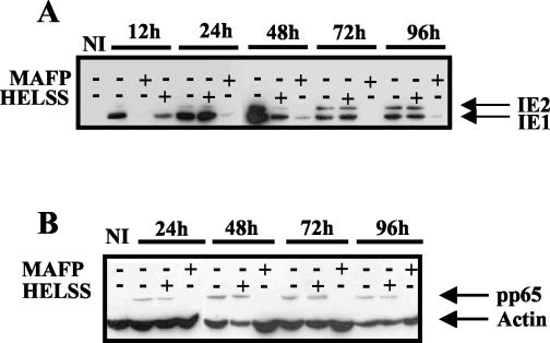 FIG. 10.