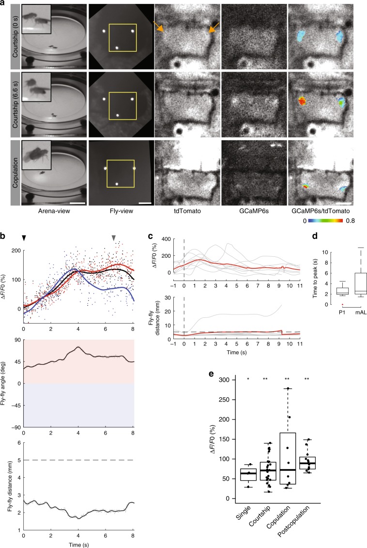 Fig. 3