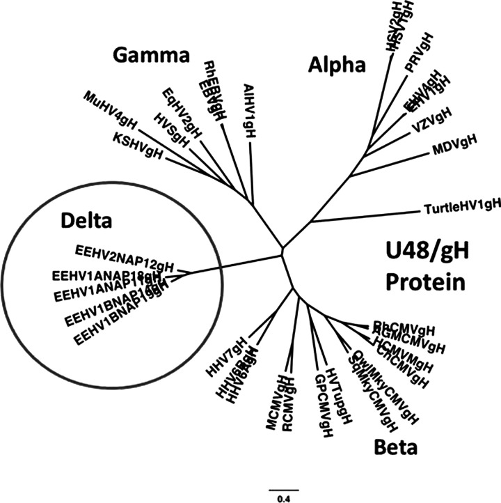 Figure 5