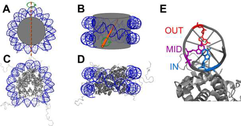 Fig. 1.