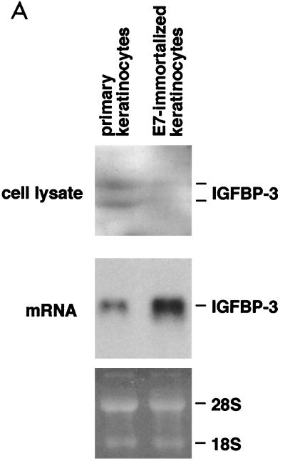 FIG. 8