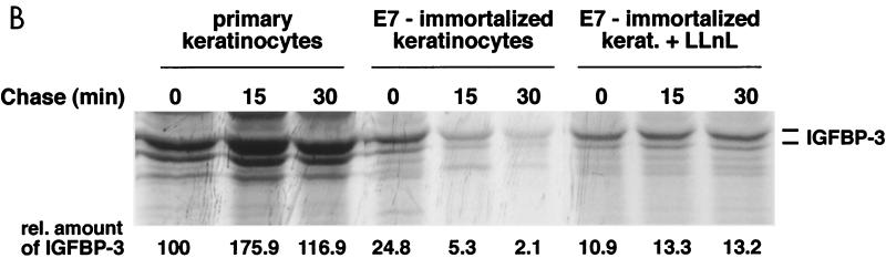 FIG. 8