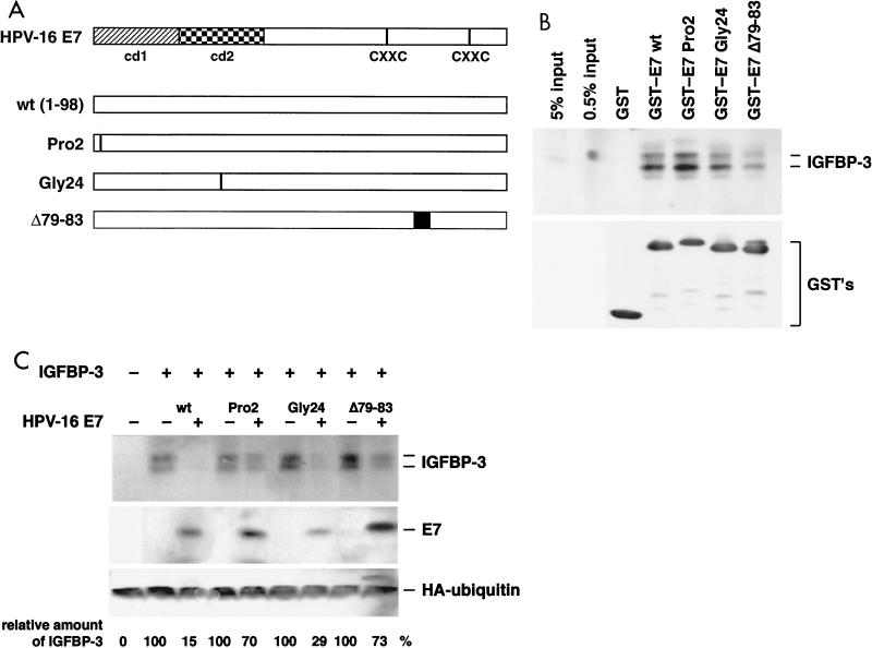 FIG. 6