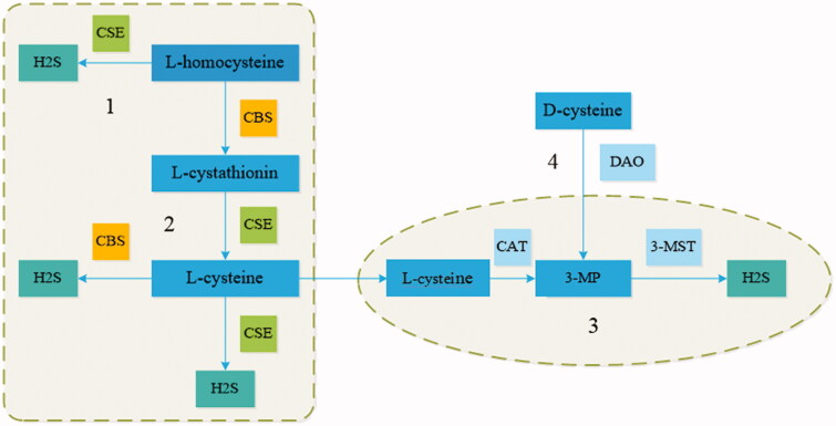 Figure 1.