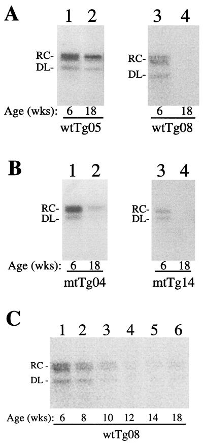 FIG. 2.