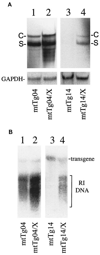 FIG. 5.