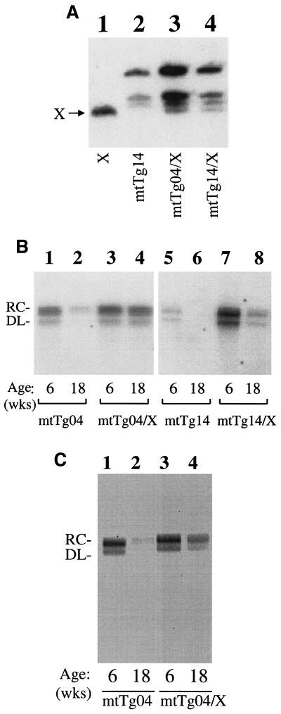 FIG. 4.