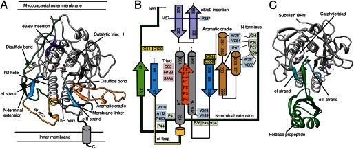 FIGURE 2.