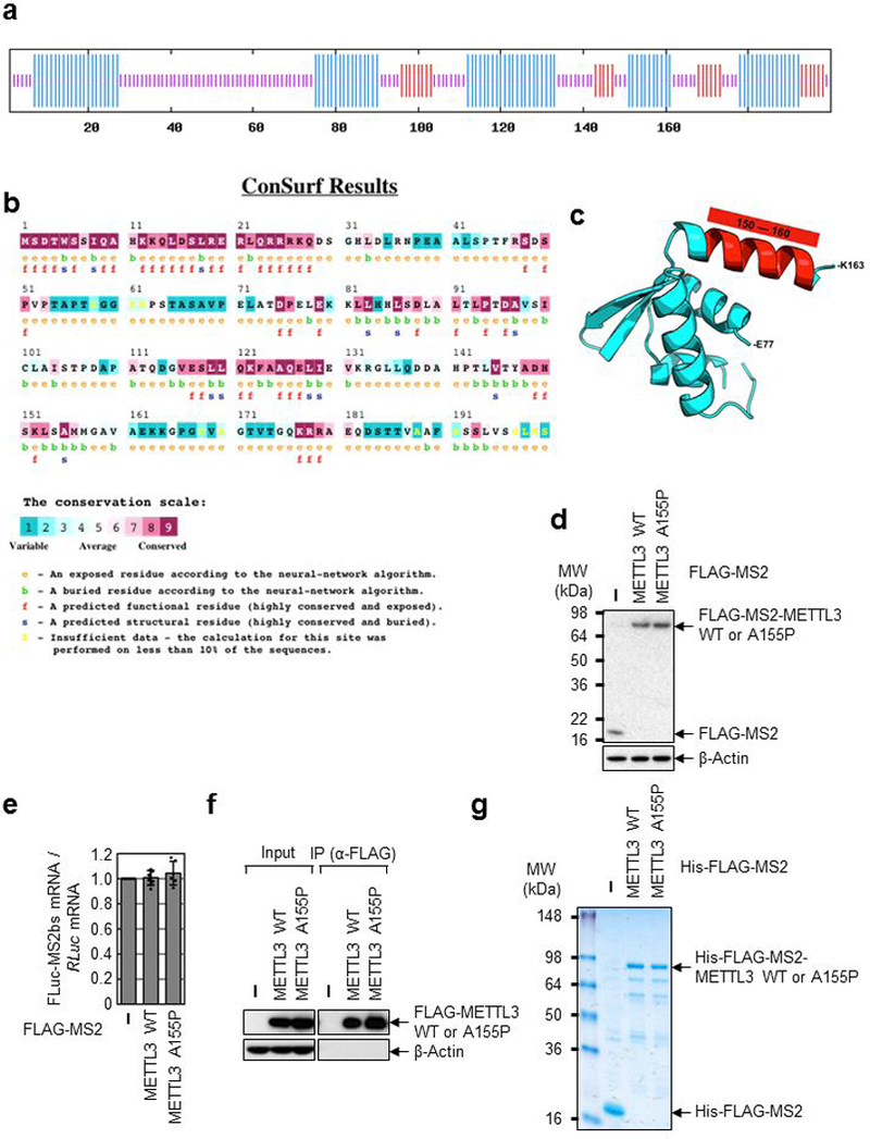 Extended Data Fig. 7 |