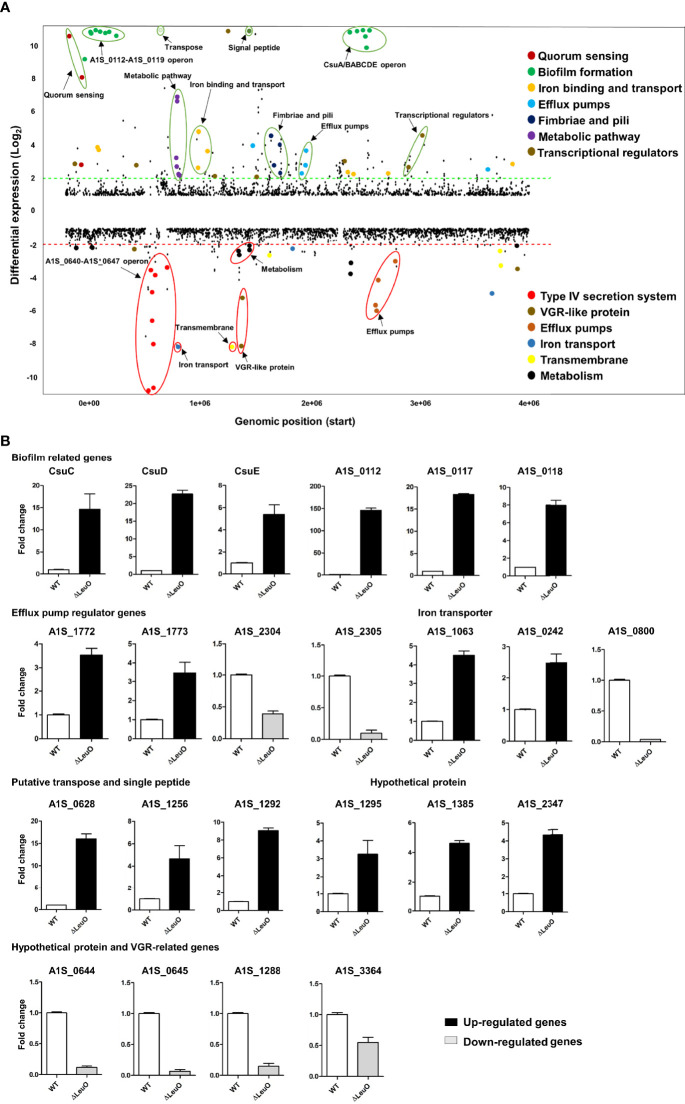 Figure 2