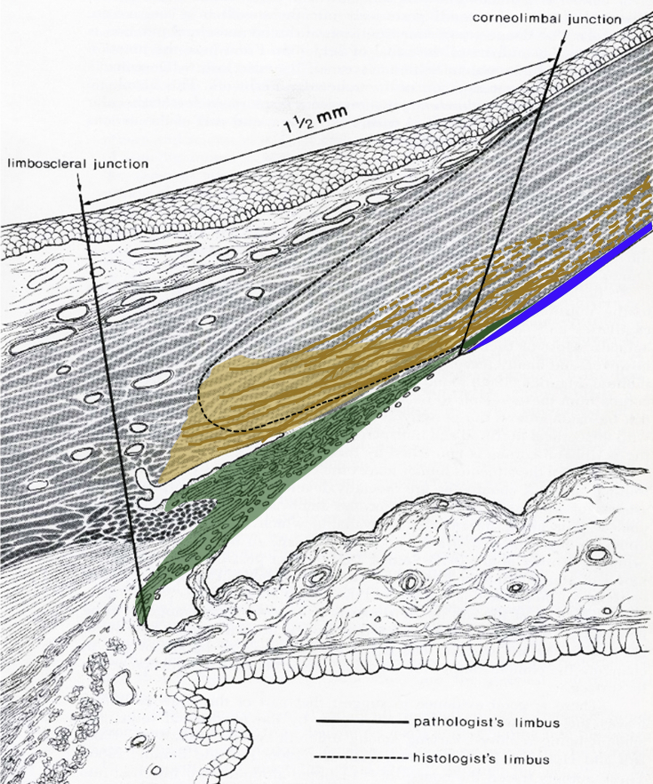 Fig. 9