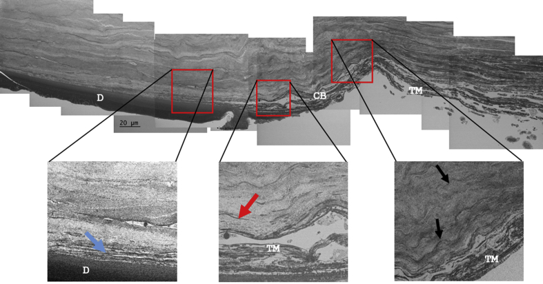 Fig. 3