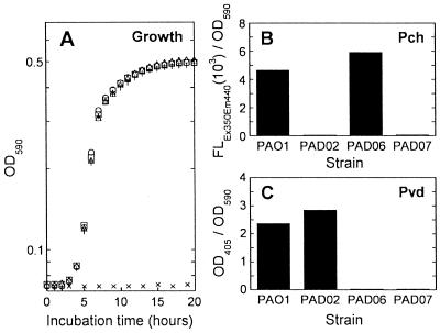 FIG. 1