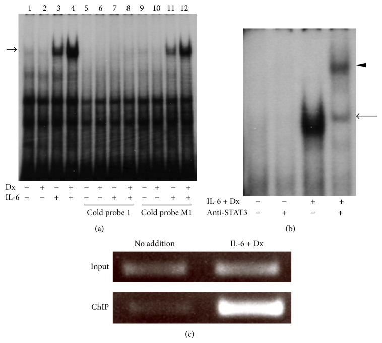 Figure 5