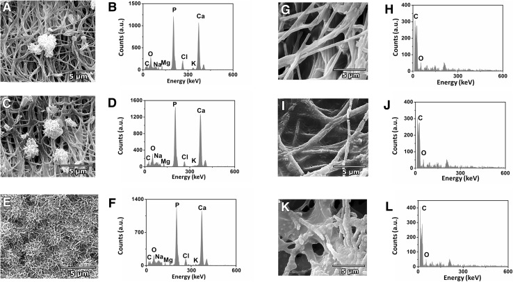 Fig. 7