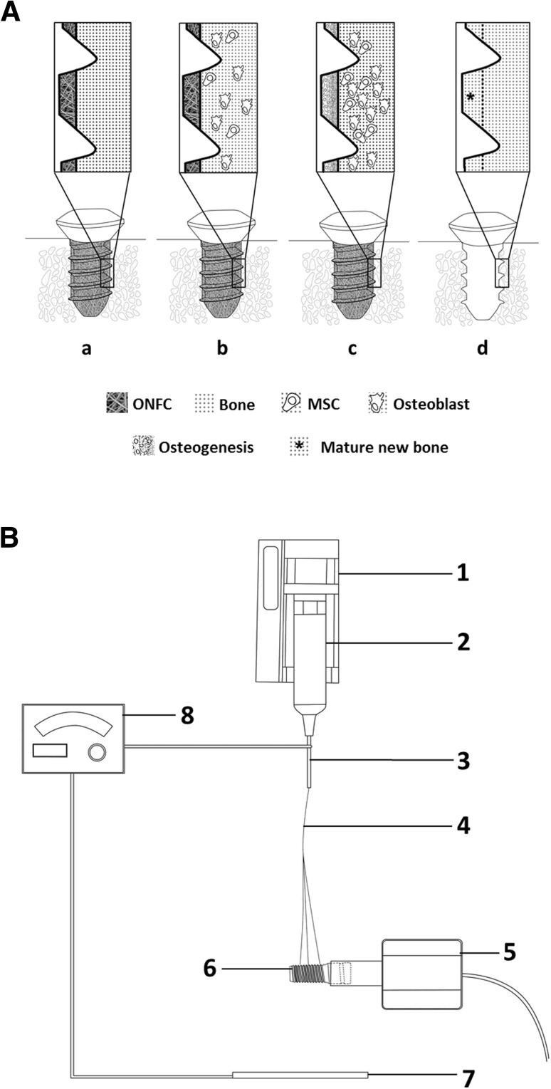 Fig. 1