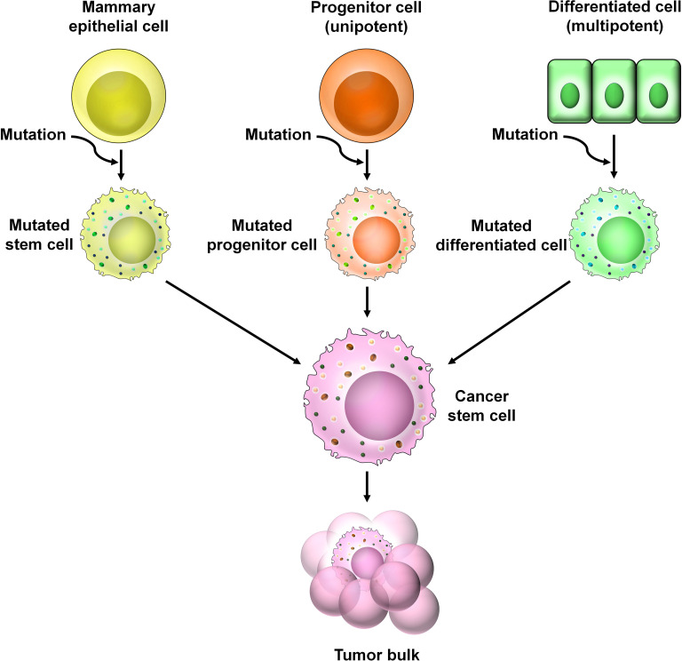 Figure 3